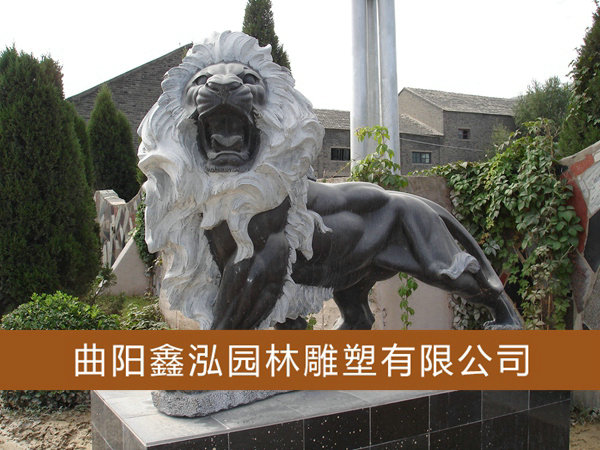 石雕獅子 (20)